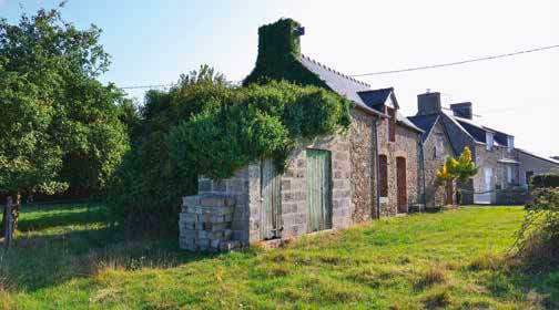 JUMELLE CONTEMPORAINE - Image 3
