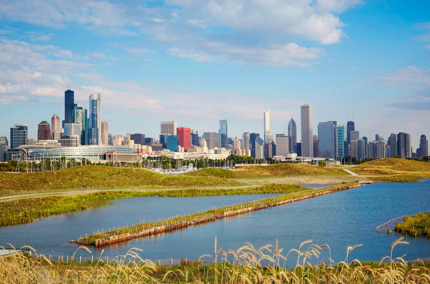 Chicago : les incontournables ! - Image 2