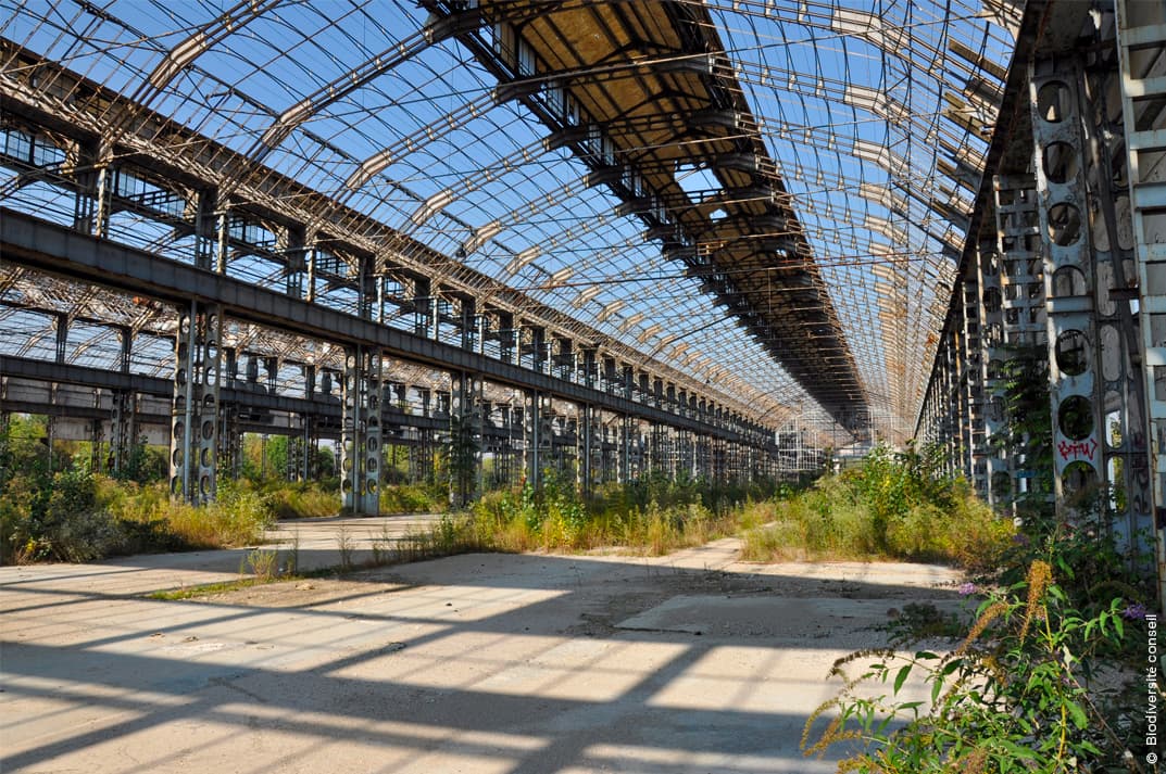 GLOBAL AWARD FOR SUSTAINABLE ARCHITECTURE : LES LAURÉATS 2026 - Image 10
