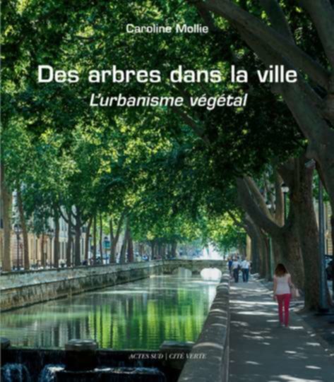 Apprendre à bien planter en ville avec le livre illustré « Des arbres dans la ville - l’urbanisme végétal » 